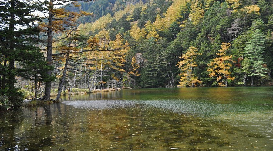 🏞️ 묘진 연못 명수 공원(묘진이케 메이스이 코엔) 이미지 4